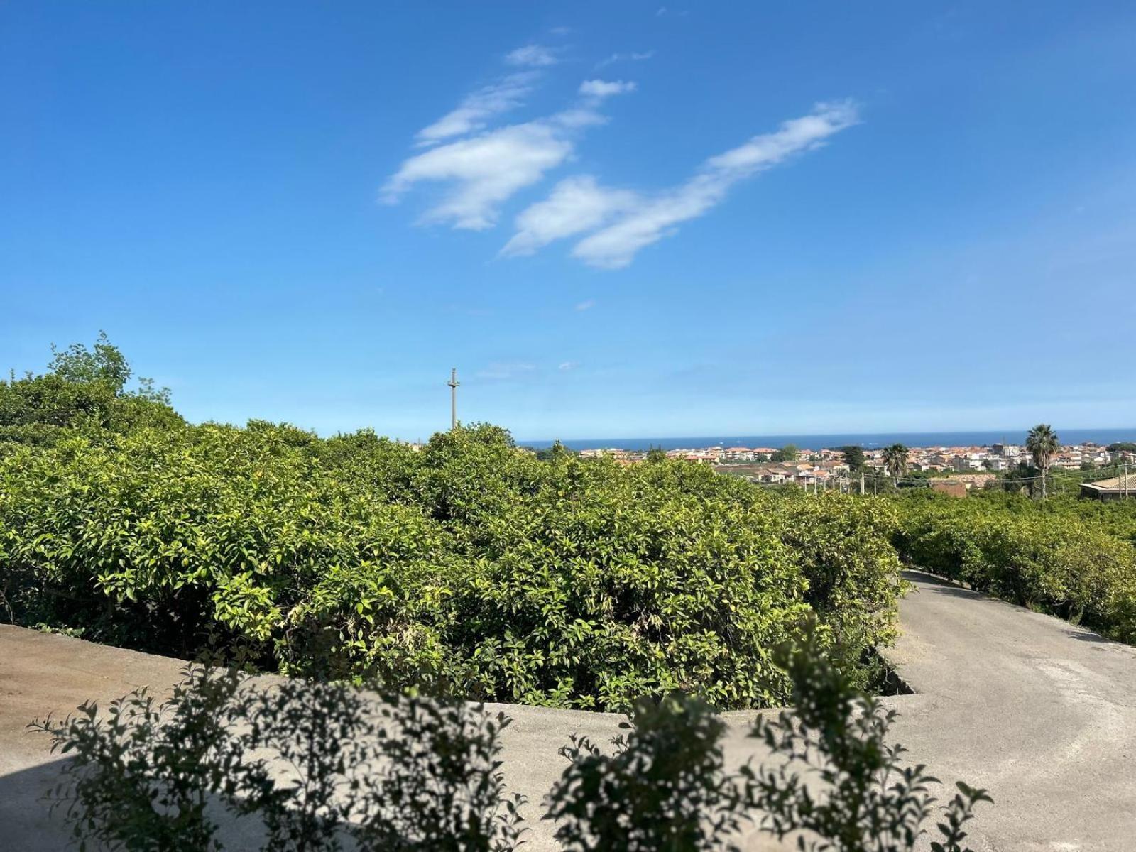 Villa Iiulia Hills Fiumefreddo di Sicilia Ngoại thất bức ảnh